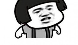 我真笨,勇敢面对自我认知的勇气之旅